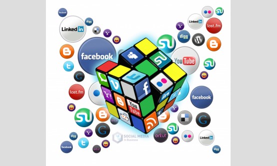A comprehensive approach on professional social media