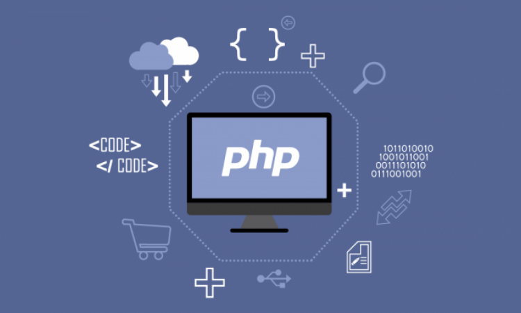 Programmer, Entrepreneur, Affiliate Marketer